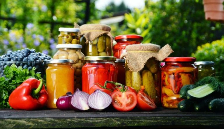 canning-preserving-and-dehydrating-food-matthew-davies